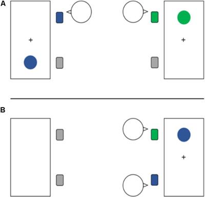 Are You Keeping an Eye on Me? The Influence of Competition and Cooperation on Joint Simon Task Performance